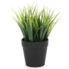 Arrangements*Attitudes Import 2 Green Plant In Pot