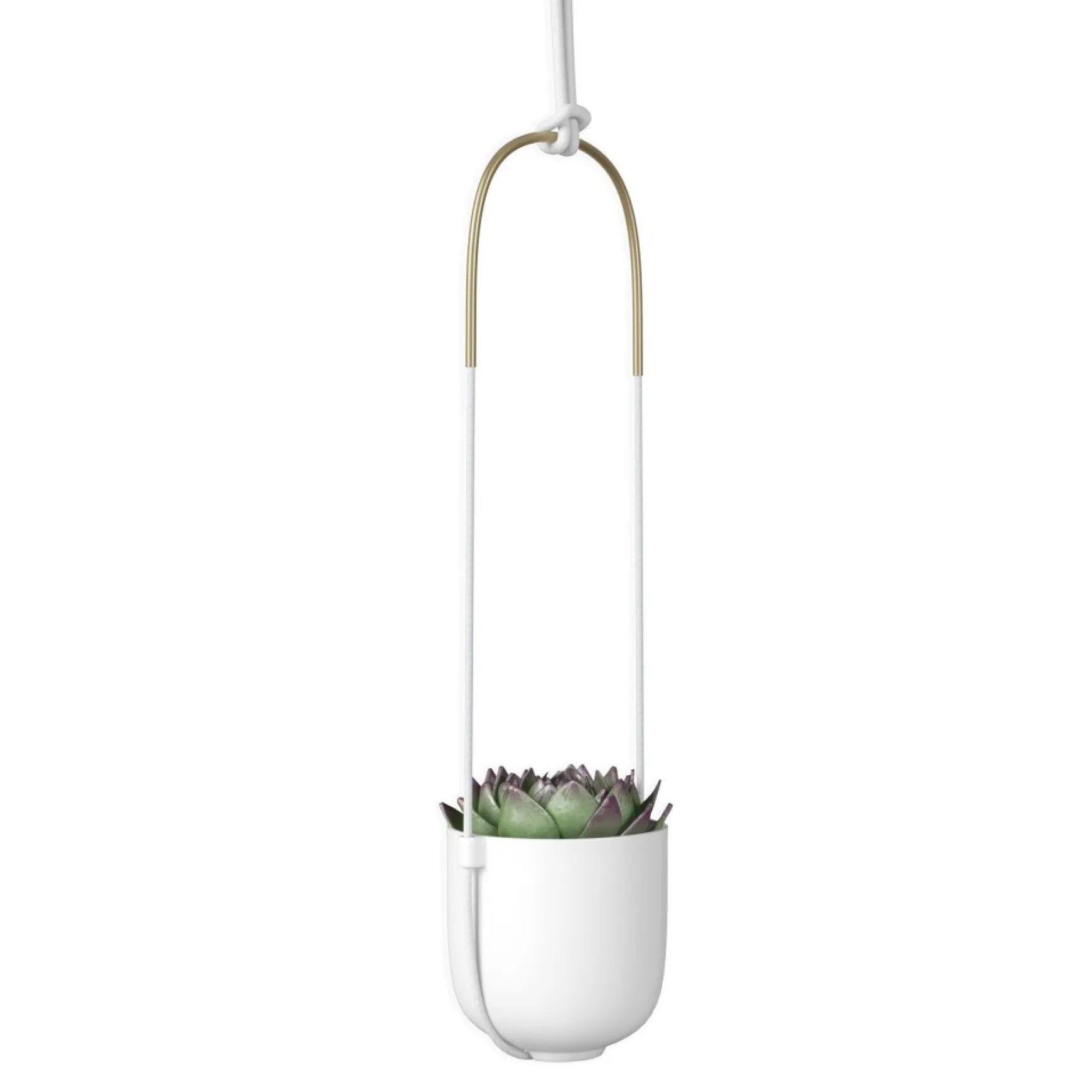Planters*Umbra Hanging Planter - Bolo
