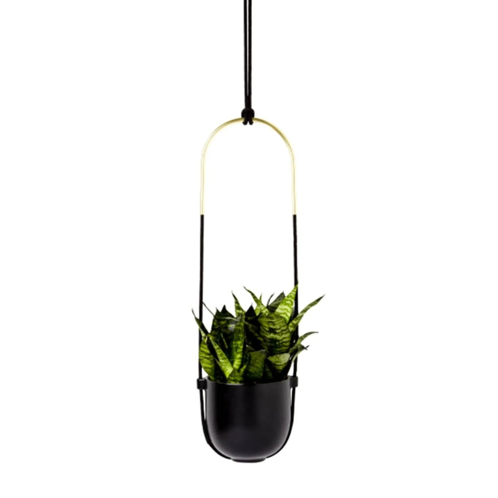 Planters*Umbra Hanging Planter - Bolo