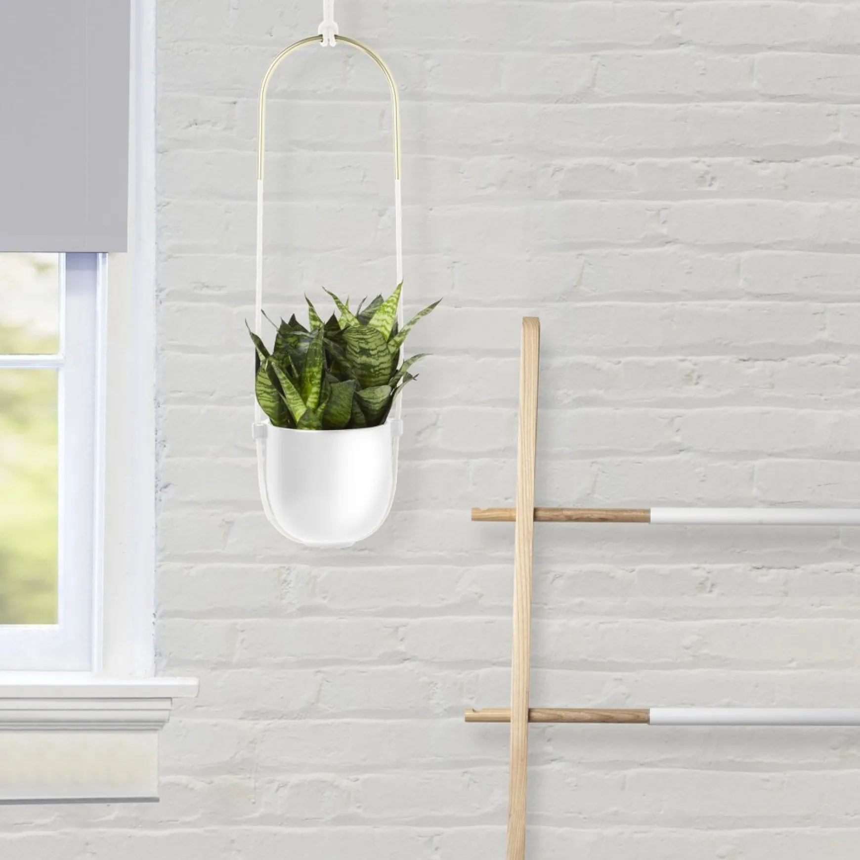 Planters*Umbra Hanging Planter - Bolo