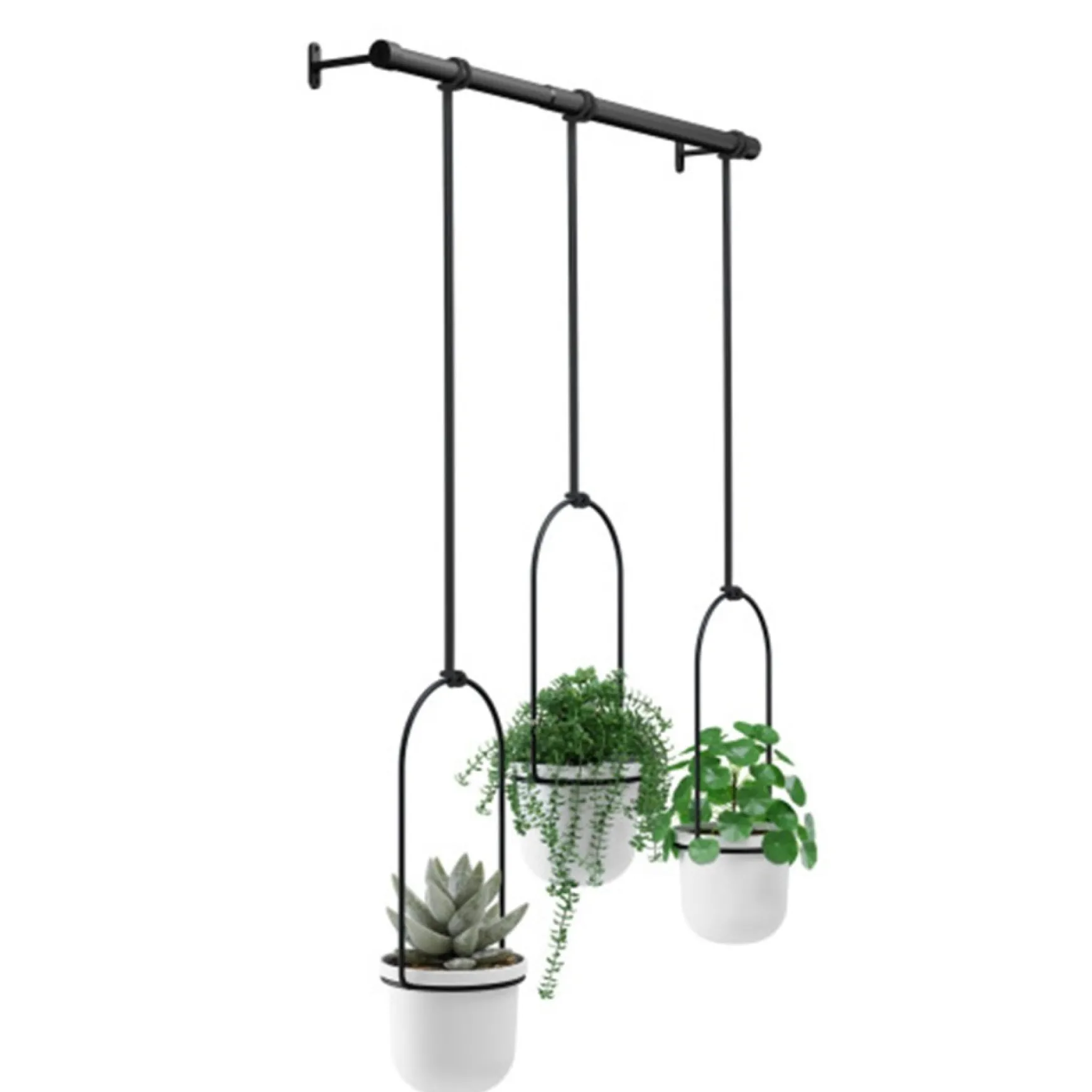 Planters*Umbra Hanging Planter - Triflora