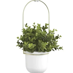 Planters*Umbra Hanging Planter - Triflora