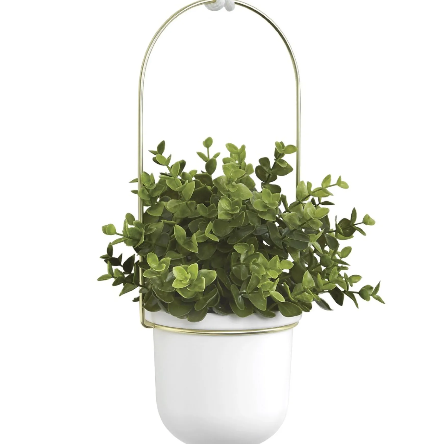 Planters*Umbra Hanging Planter - Triflora