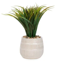 Arrangements*Attitudes Import Herbs In Textured Pots