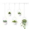 Wall Planters*Umbra Large Hanging Planter - Triflora