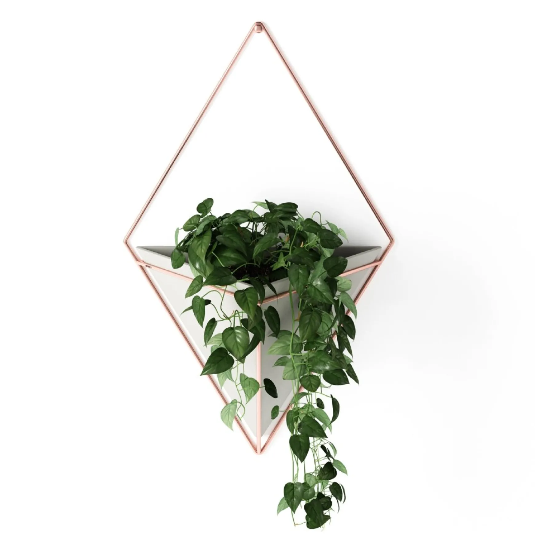Planters*Umbra Large White Wall Planter - Trigg