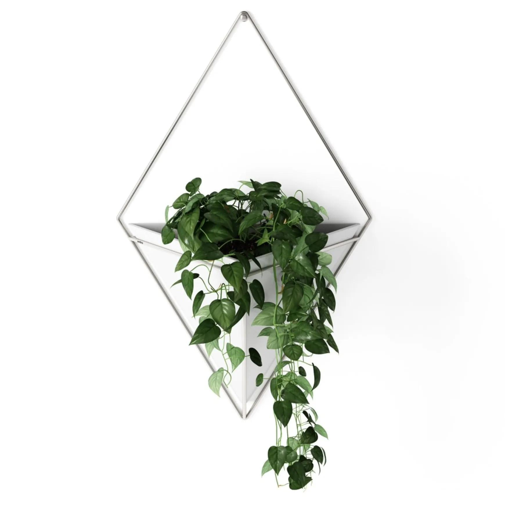 Planters*Umbra Large White Wall Planter - Trigg