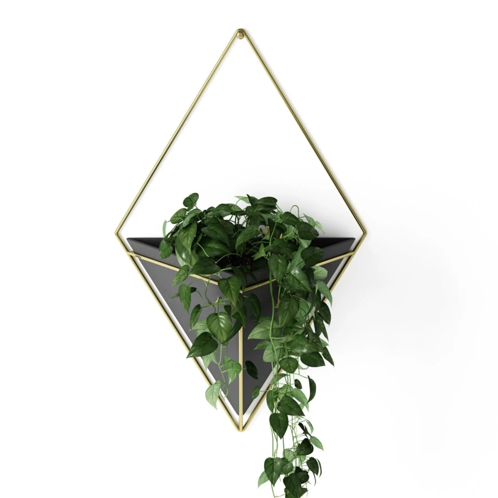 Planters*Umbra Large White Wall Planter - Trigg