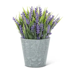 Arrangements*Abbott Lavender Cement Pot
