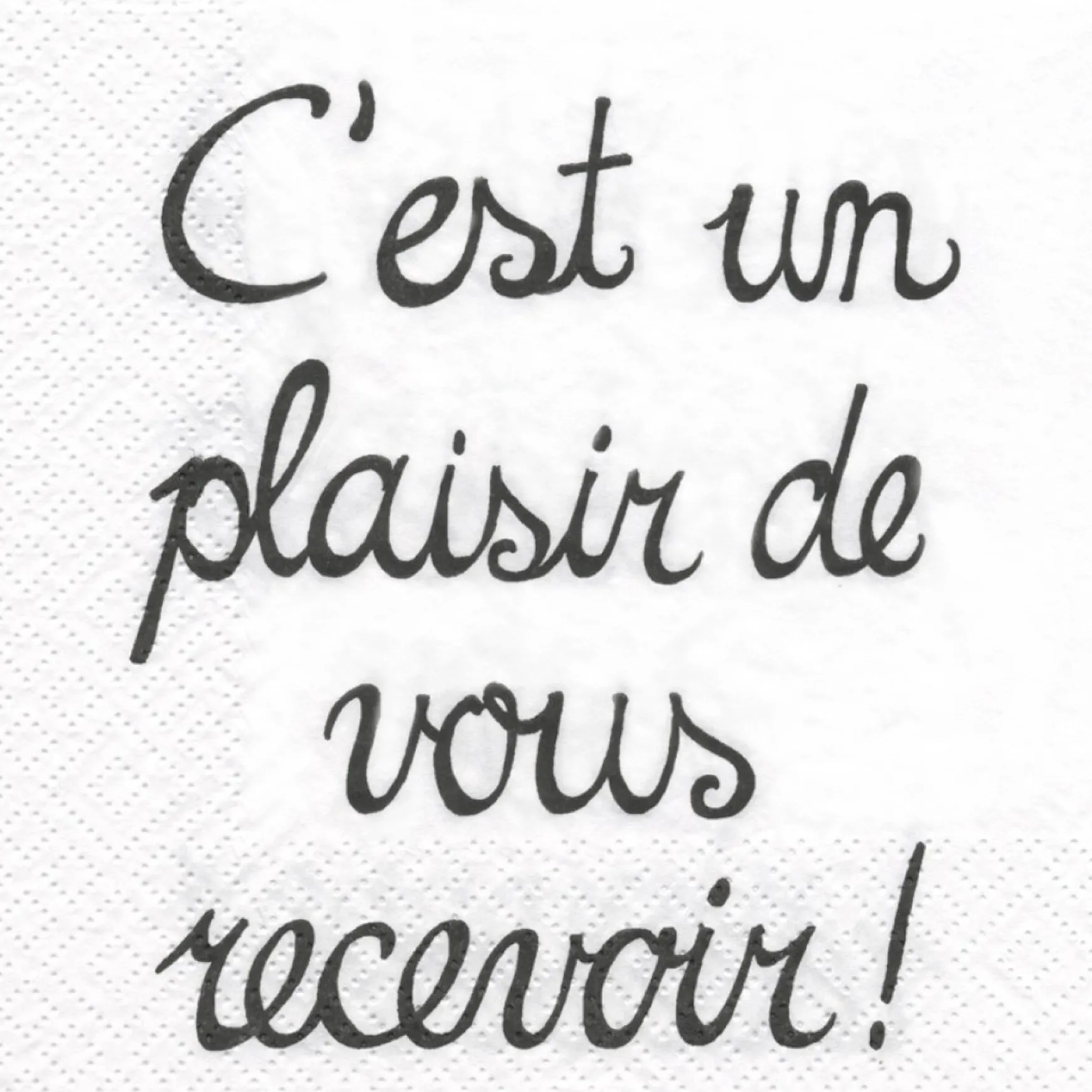 Tablecloths, Placemats & Napkins*Attitudes Import 2 Napkins - C'Est Un Plaisir