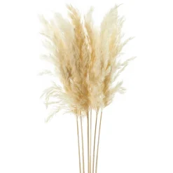 Dried Stems & Flowers*Gift Craft Natural Pampas Branches - 38"