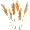 Dried Stems & Flowers*Gift Craft Natural Pampas Steams - 28"