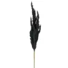 Dried Stems & Flowers*Attitudes Import 2 Pampa Stem - Black