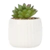 Arrangements*Attitudes Import Plant In White Textured Pot