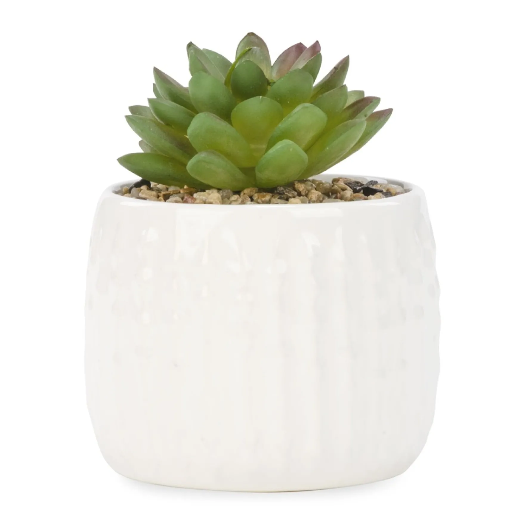 Arrangements*Attitudes Import Plant In White Textured Pot