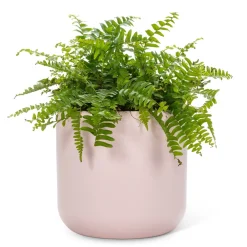 Vases & Pots*Abbott Planter - Pink Pastel