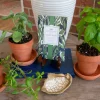 Scented Sachets*Canfloyd Scented Sachet - Garden Thyme