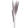 Dried Stems & Flowers*Attitudes Import 2 Set Of 6 Feather Stems - Taupe