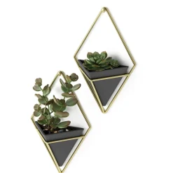 Planters*Umbra Set Of 2 Wall Mounted Planters - Trigg Black