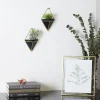 Wall Planters*Umbra Set Of 2 Wall Mounted Planters - Trigg Black