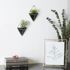 Wall Planters*Umbra Set Of 2 Wall Mounted Planters - Trigg Black