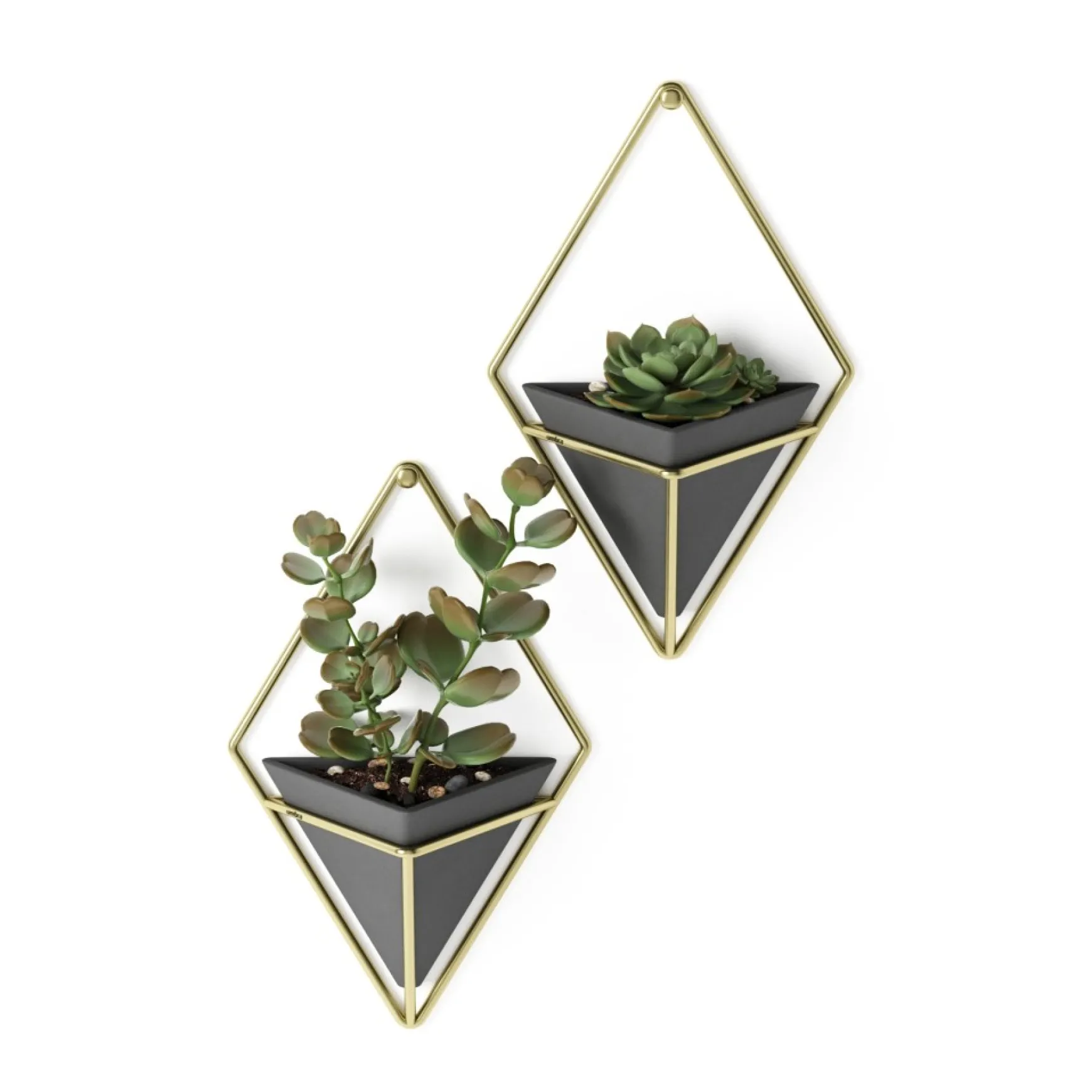 Wall Planters*Umbra Set Of 2 Wall Mounted Planters - Trigg Black