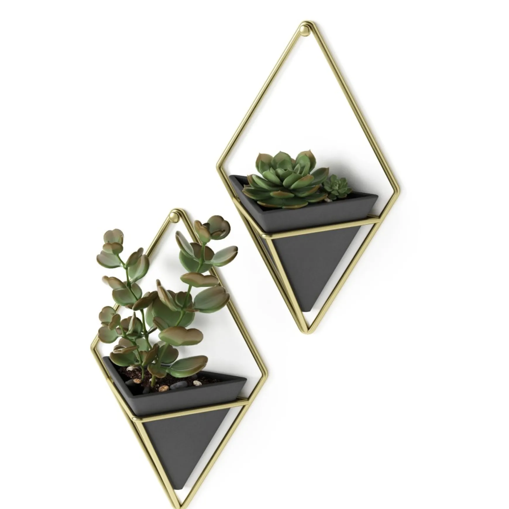 Wall Planters*Umbra Set Of 2 Wall Mounted Planters - Trigg Black