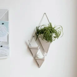 Wall Planters*Umbra Set Of 2 Wall Mounted Planters - Trigg