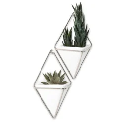 Wall Planters*Umbra Set Of 2 Wall Mounted Planters - Trigg