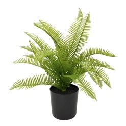 Arrangements*Nostalgia Import Small Fern In A Pot - Black