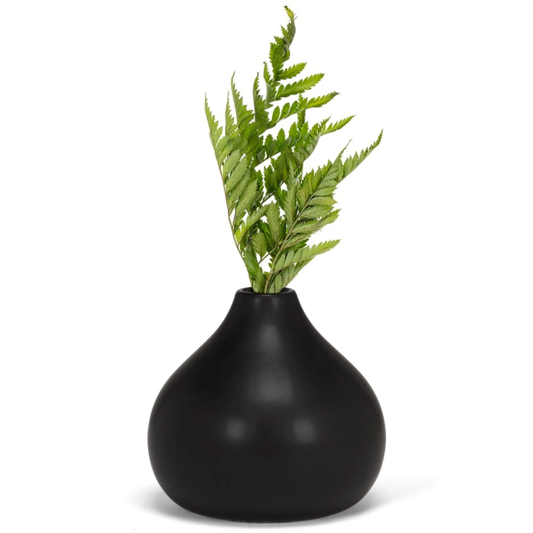 Vases & Pots*Abbott Small Matte Black Vase - Cashmere