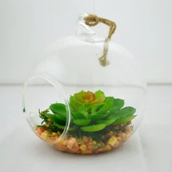 Arrangements*Nostalgia Import Small Terrarium Ball Echeveria