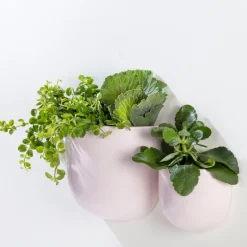 Wall Planters*Abbott Small Wall Vase - Pink