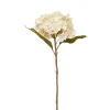 Dried Stems & Flowers*Nostalgia Import Stem Of White Flower