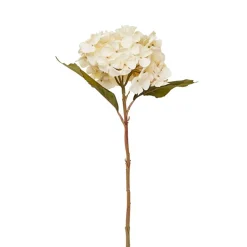 Dried Stems & Flowers*Nostalgia Import Stem Of White Flower
