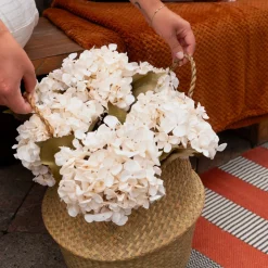 Dried Stems & Flowers*Nostalgia Import Stem Of White Flower