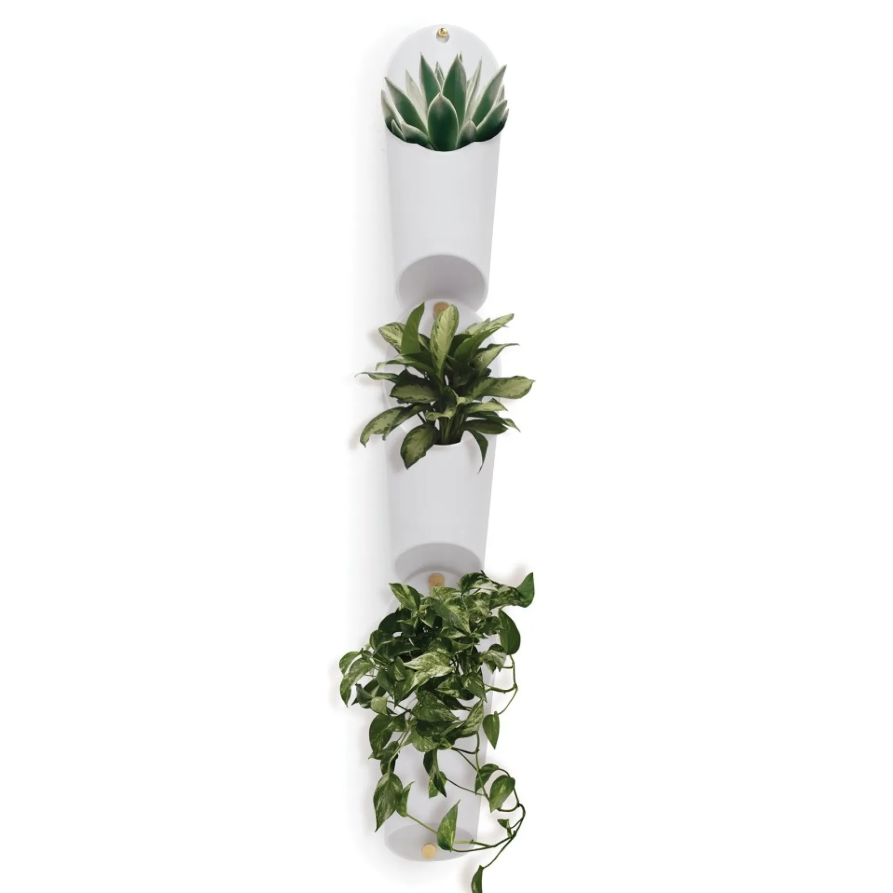 Planters*Umbra Wall Mounted Planter Trio - Floralink