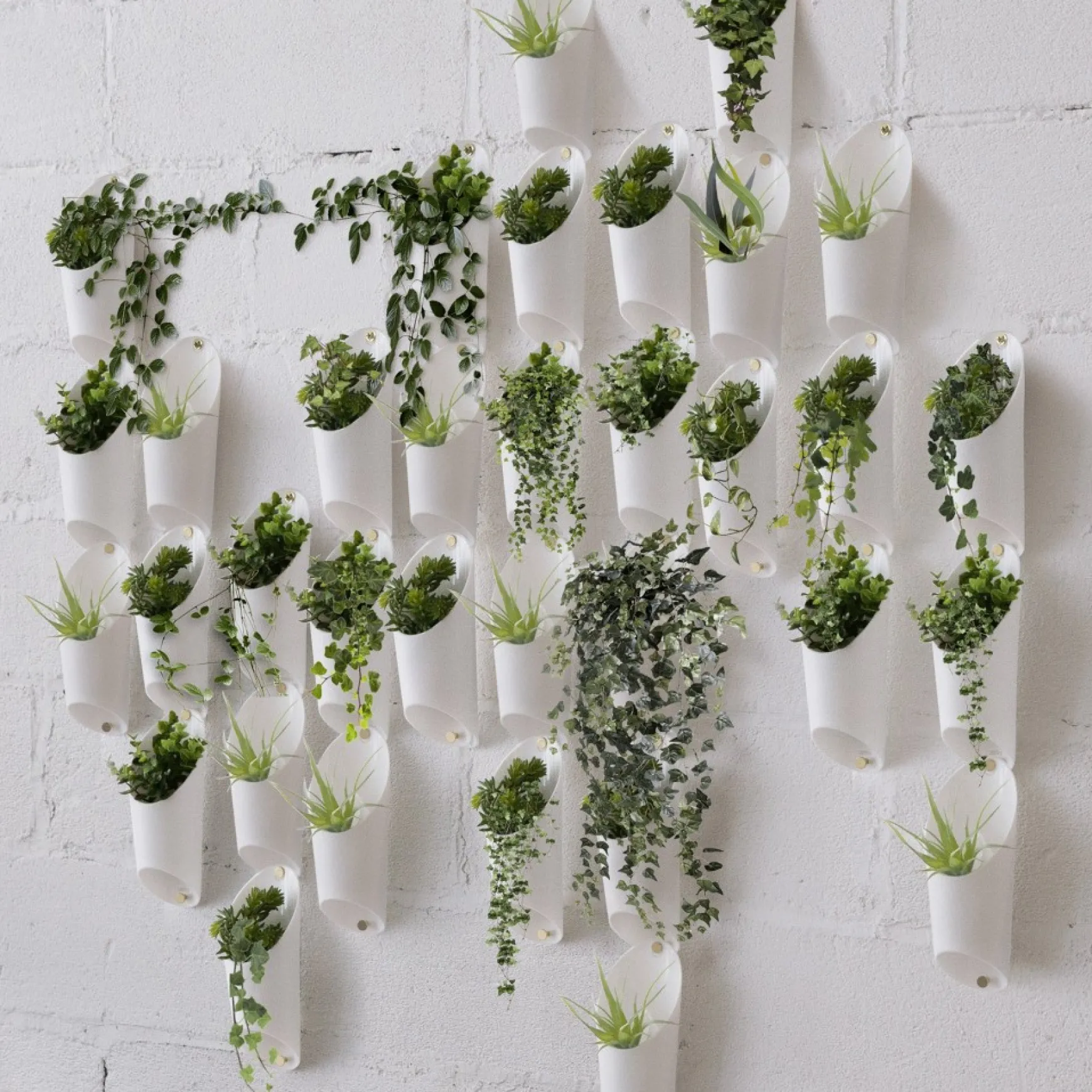Planters*Umbra Wall Mounted Planter Trio - Floralink