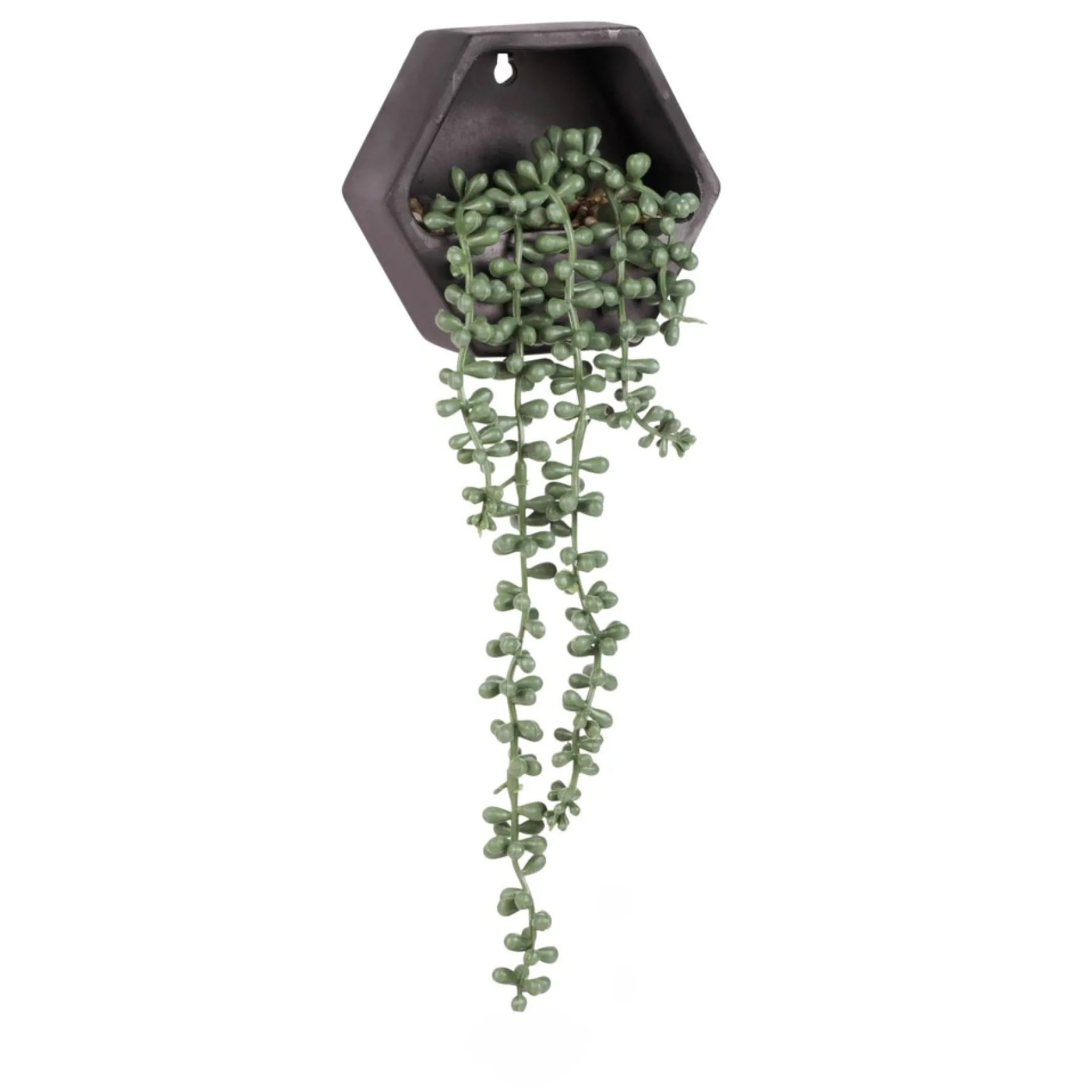 Planters*Attitudes Import Wall Planter - Black Pot