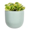 Wall Planters*Abbott Wall Vase - Mint Green