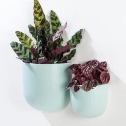 Planters*Abbott Wall Vase - Mint Green