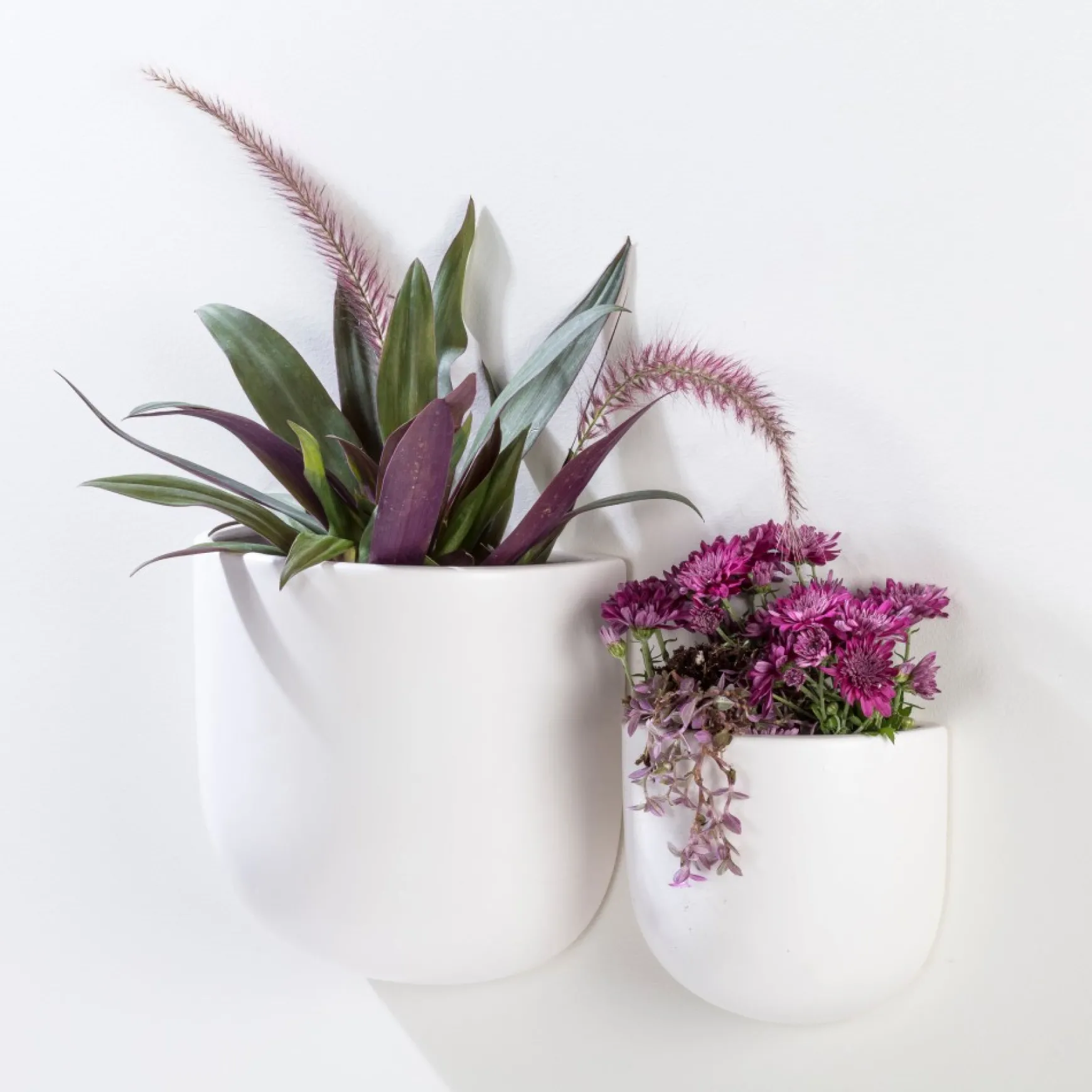 Wall Planters*Abbott Wall Vase - White