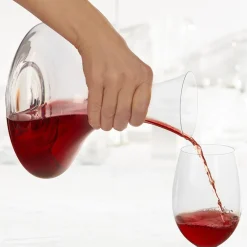 All For Wine*Trudeau Wine Decanter